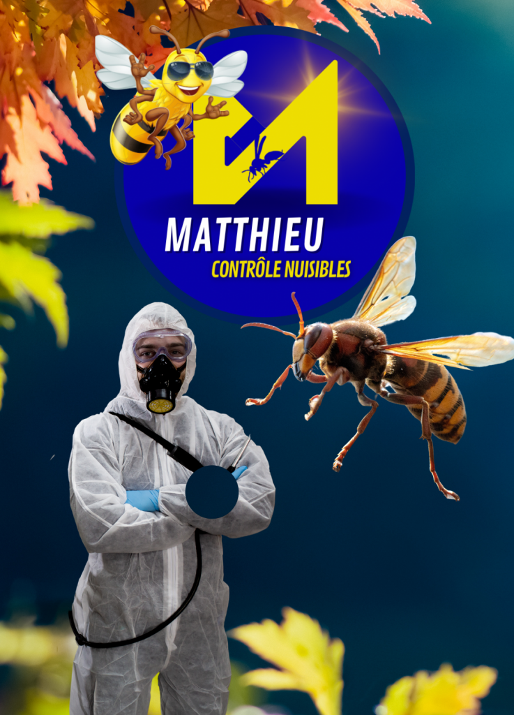 Logo de matthieu controle nuisibles avec un frelon et un homme en combinaison