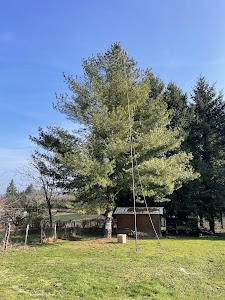 Matthieu Contrôle Nuisibles place picture